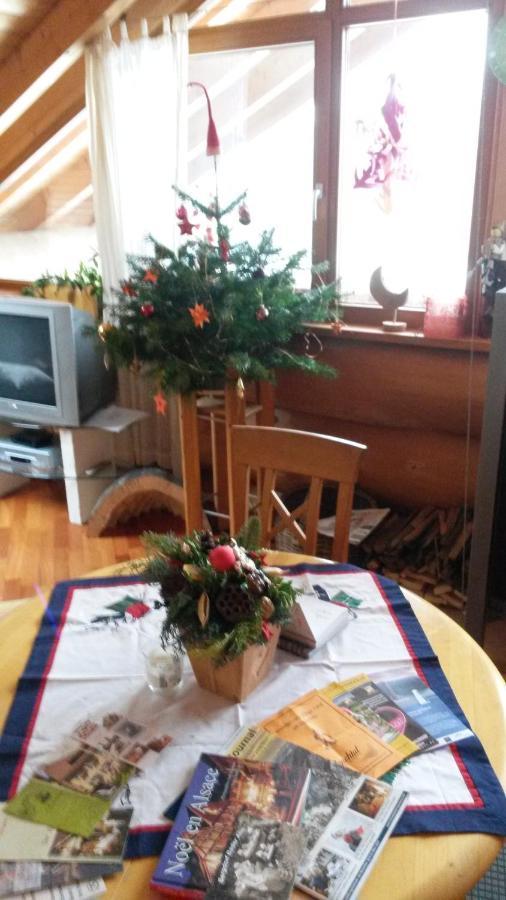 Blockhaus-Ferienwohnung Oppenau Luaran gambar